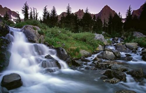 Puzzle für Erwachsene 1000 | Puzzle | Puzzles 1000 Teile für Erwachsene, Bäume, Berge, Wasserfall 70x100CM von AFHMZ