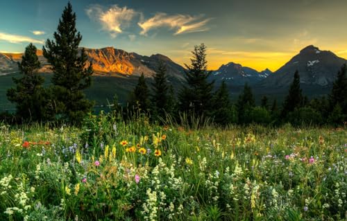 Puzzle für Erwachsene 1000 | Puzzle | Puzzles 1000 Teile für Erwachsene, Landschaft, Berge, Fichte 52x38CM von AFHMZ