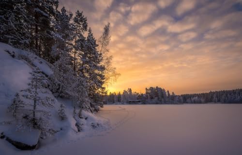 Puzzle für Erwachsene – 500 Teile Puzzle – für Erwachsene und Kinder ab 14 Jahren, Finnland, Tampere, Landschaften 52x38CM Puzzle für Erwachsene – 500 Teile Puzzle – für Erwachsene und Kinder ab 14 Jahren, Finnland, Tampere, Landschaften 52x38CM von AFHMZ