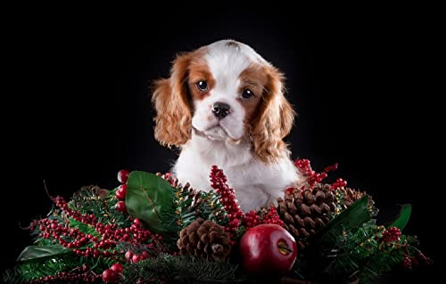 Puzzle für Erwachsene 500 Teile Spaniel-Welpe 52x38CM Puzzle für Erwachsene 500 Teile Spaniel-Welpe 52x38CM von AFHMZ