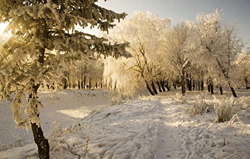 Puzzle für Junge Erwachsene, 100 Teile, Naturschönheit, Frost, Schnee, Sonne, 45,5 x 35,5 cm Puzzle für Junge Erwachsene, 100 Teile, Naturschönheit, Frost, Schnee, Sonne, 45,5 x 35,5 cm von AFHMZ