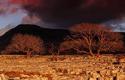 Puzzle für Kinder 1000 Teile, Naturschönheit, Sonnenuntergang, Ingleborough, 70 x 50 cm Puzzle für Kinder 1000 Teile, Naturschönheit, Sonnenuntergang, Ingleborough, 70 x 50 cm von AFHMZ