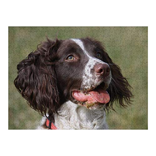 Puzzle mit 1000 Teilen, English Springer Spaniel, Puzzle für Erwachsene mit 1000 Teilen, Puzzle für Kinder, Heimdekoration für Erwachsene, 38 x 26 cm Puzzle mit 1000 Teilen, English Springer Spaniel, Puzzle für Erwachsene mit 1000 Teilen, Puzzle für Kinder, Heimdekoration für Erwachsene, 38 x 26 cm von AFHMZ