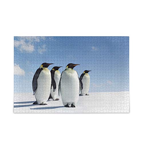 Puzzle mit 1000 Teilen, Tier-Antarktis-Pinguin-Puzzle, lustiges Spielzeug-Familienspiel zum pädagogischen intellektuellen Entspannen, 70 x 50 cm Puzzle mit 1000 Teilen, Tier-Antarktis-Pinguin-Puzzle, lustiges Spielzeug-Familienspiel zum pädagogischen intellektuellen Entspannen, 70 x 50 cm von AFHMZ