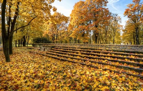 Puzzle mit 1000 Teilen für Jugendliche und Erwachsene – 1000-teiliges Puzzle, Park, Petersburg, 70 x 50 cm von AFHMZ