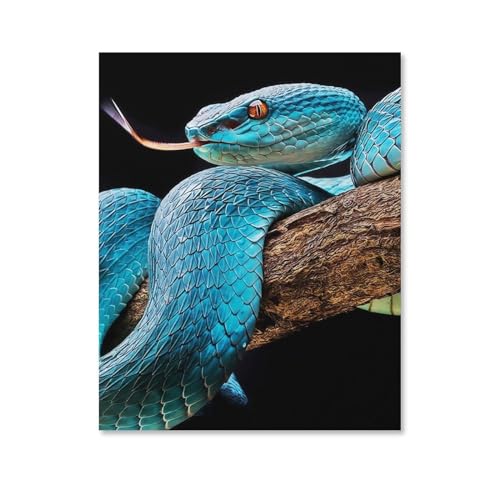 Schlange, Puzzle 300 Teile Papierpuzzle Lernspielzeug für Erwachsene und Kinder, Familien-Dekompressionsspiel, 38 x 26 cm von AFHMZ
