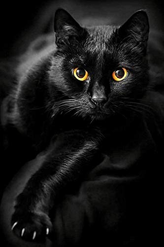 Schwarze Katze - Puzzle 500 Teile Kreative Puzzles für Erwachsene Spielzeug Dekompression Anime Geschenke 52x38CM von AFHMZ