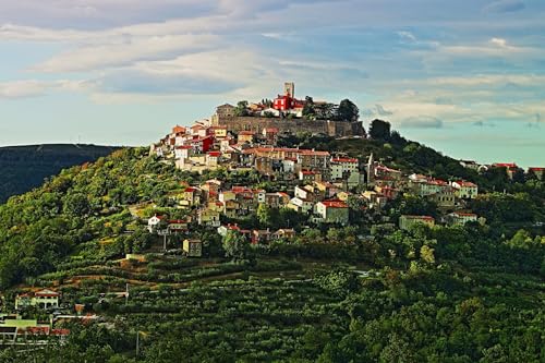 Schwieriges Puzzle für Erwachsene 100 Teile Weinberg Istrien Kroatien 45,5x35,5CM von AFHMZ