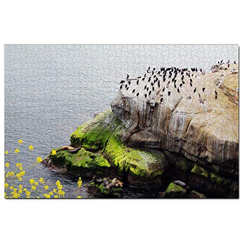 USA Amerika La Jolla Cove Puzzle 100 Teile Spiel Kunstwerk Reise Souvenir 45,5x35,5 cm USA Amerika La Jolla Cove Puzzle 100 Teile Spiel Kunstwerk Reise Souvenir 45,5x35,5 cm von AFHMZ