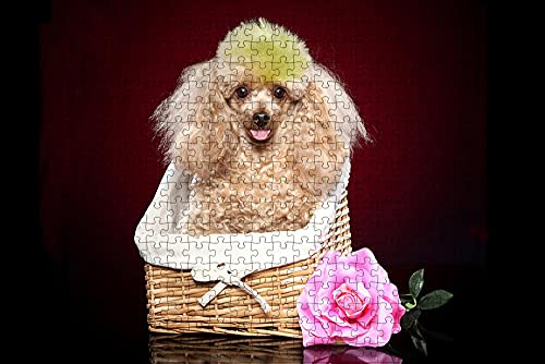 Villainous Puzzle 300 Teile Rosa Pudel Hund Tierkorb Geburtstagsgeschenk 38x26CM Villainous Puzzle 300 Teile Rosa Pudel Hund Tierkorb Geburtstagsgeschenk 38x26CM von AFHMZ
