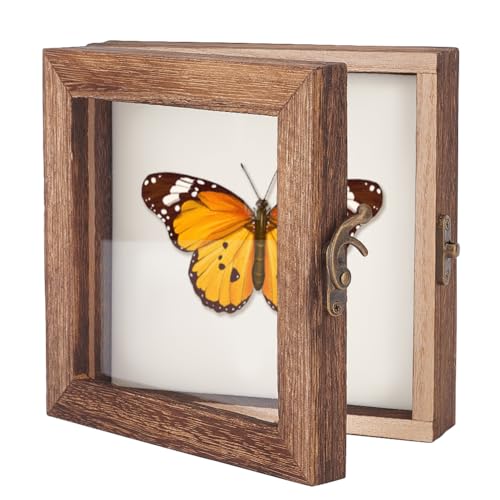 AHANDMAKER Insekten-Vitrine, Schattenbox Für Insekten-Präsentation Mit Transparenter Oberseite, Aufbewahrungsbox Für Insektenproben, Holz-Insekten-Aufbewahrungsbox Zum Sammeln von Proben, 6 x 6 Zoll AHANDMAKER Insekten-Vitrine, Schattenbox Für Insekten-Präsentation Mit Transparenter Oberseite, Aufbewahrungsbox Für Insektenproben, Holz-Insekten-Aufbewahrungsbox Zum Sammeln von Proben, 6 x 6 Zoll von AHANDMAKER
