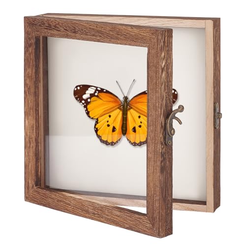 AHANDMAKER Insekten-Vitrine, Schattenbox Für Insekten-Präsentation Mit Transparenter Oberseite, Aufbewahrungsbox Für Insektenproben, Holz-Insekten-Aufbewahrungsbox Zum Sammeln von Proben, 8 x 8 Zoll AHANDMAKER Insekten-Vitrine, Schattenbox Für Insekten-Präsentation Mit Transparenter Oberseite, Aufbewahrungsbox Für Insektenproben, Holz-Insekten-Aufbewahrungsbox Zum Sammeln von Proben, 8 x 8 Zoll von AHANDMAKER