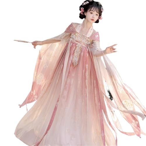 AIHERQG Chinesischen Stil Cosplay Kostüm Hanfu Kleid Weibliche Kleidung Tang Stil Brust Länge Rock Bestickt(Type 1,S) von AIHERQG