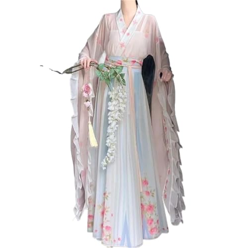 AIHERQG Hanfu-Kleid im chinesischen Stil der WeiJin-Dynastie for Damen, traditionell, elegant, Blumendruck, Fee, lange Robe, Cosplay, weiblicher Cosplay-Anzug(Blue1,M) von AIHERQG