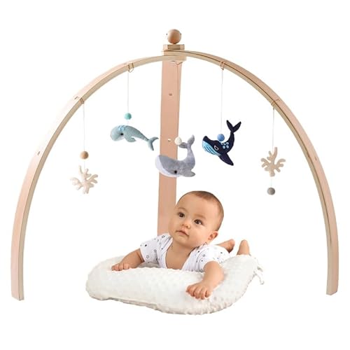 AILISK Smart Playground Baby Gym (Wal) von AILISK