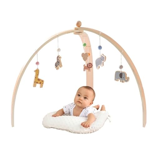 AILISK Smart Playground Baby Gym (Wiese) von AILISK