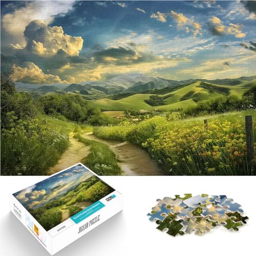 1000-teilige Puzzles für Teenager Spielzeug Lernspiele Stressabbau Landschaftszeichnung Deutschland Heimdekoration Spielzeug75x50cm von AITEXI