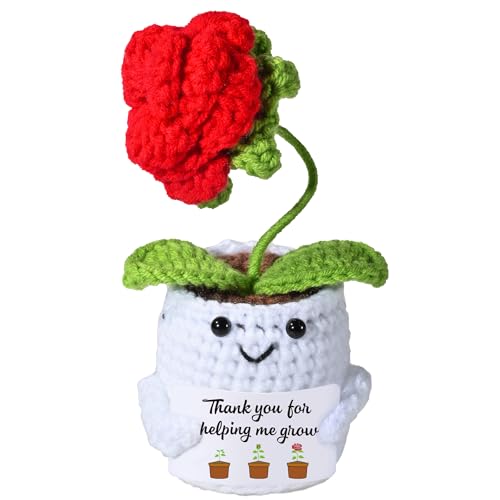 AIVCQZE Wertschätzungsgeschenke für Lehrer, handgefertigte gestrickte Rosen für Lehrer, Dankeschön für Helping Me Grow, Geburtstagsgeschenk für Lehrer, Weihnachten, Abschlussgeschenke AIVCQZE Wertschätzungsgeschenke für Lehrer, handgefertigte gestrickte Rosen für Lehrer, Dankeschön für Helping Me Grow, Geburtstagsgeschenk für Lehrer, Weihnachten, Abschlussgeschenke von AIVCQZE