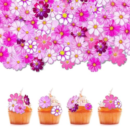 Glücksblume Tortendeko, 65 Stück, Blumen für Torte Rosa Weiß, Blüten Tortendeko, Glücksblume Cupcake Deko für Hochzeit, Geburtstag, Muffin Deko Taufe Glücksblume Tortendeko, 65 Stück, Blumen für Torte Rosa Weiß, Blüten Tortendeko, Glücksblume Cupcake Deko für Hochzeit, Geburtstag, Muffin Deko Taufe von AIXYEA