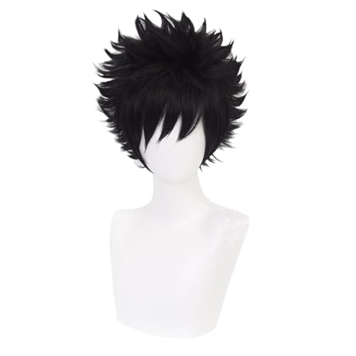 AIYINIY My Hero Academia Dabi Cosplay-Kostüm, Uniform, Mantel, Hemd, Hose, komplettes Set, Halloween-Outfits für Herren (nur Perücke, Einheitsgröße) von AIYINIY