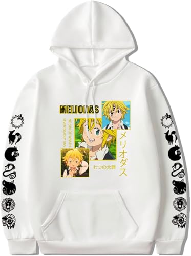 AIYINIY The Seven Deadly Sins Hoodie Anime Printed Pullover Meliodas Cosplay Herren Kapuzenpullover Casual (Typ 2, L) von AIYINIY