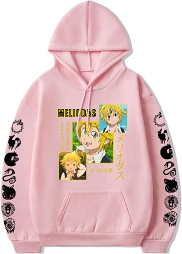 AIYINIY The Seven Deadly Sins Hoodie Anime Printed Pullover Meliodas Cosplay Herren Kapuzenpullover Casual (Typ 3, XXL) von AIYINIY