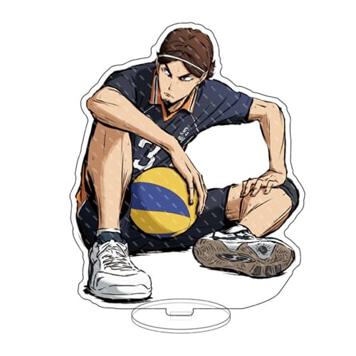 AIYITUI Anime Acryl Ständer Modell, per Hinata Shoyo Charaktere Humanoid Stand Merch Geschenk Ornamente Fans Sammlergeschenk 15cm,J AIYITUI Anime Acryl Ständer Modell, per Hinata Shoyo Charaktere Humanoid Stand Merch Geschenk Ornamente Fans Sammlergeschenk 15cm,J von AIYITUI