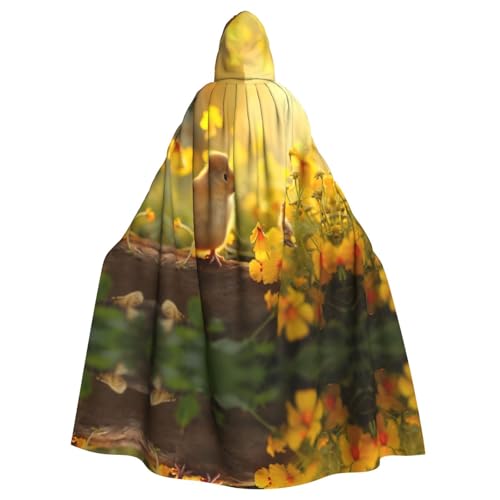 AKDODK Kapuzenumhang mit Hasen-Vogel-Aufdruck, Halloween, Cosplay, Kostüme für Erwachsene, Herren, Damen, dunkler Party-Umhang AKDODK Kapuzenumhang mit Hasen-Vogel-Aufdruck, Halloween, Cosplay, Kostüme für Erwachsene, Herren, Damen, dunkler Party-Umhang von AKDODK