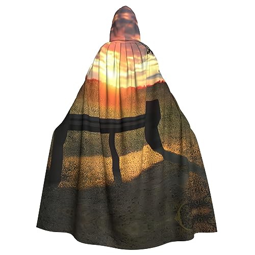AKDODK Lonely Bench Kapuzenmantel mit Sonnenuntergang-Druck, für Halloween, Cosplay, für Erwachsene, Herren, Damen, dunkler Party-Umhang AKDODK Lonely Bench Kapuzenmantel mit Sonnenuntergang-Druck, für Halloween, Cosplay, für Erwachsene, Herren, Damen, dunkler Party-Umhang von AKDODK