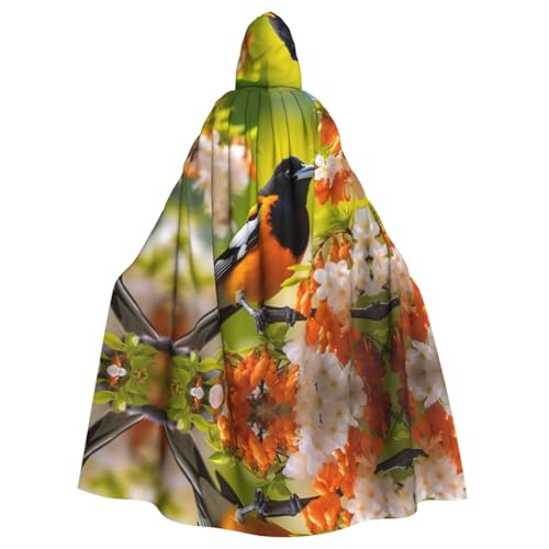 AKDODK Robe mit Goldfinch-Aufdruck, Kapuzenmantel, Umhang, Halloween, Cosplay, für Erwachsene, Herren, Damen, dunkler Party-Umhang AKDODK Robe mit Goldfinch-Aufdruck, Kapuzenmantel, Umhang, Halloween, Cosplay, für Erwachsene, Herren, Damen, dunkler Party-Umhang von AKDODK
