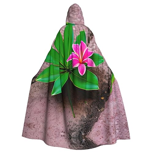 AKDODK Robe mit Kapuze und tropischem Blumendruck, rosafarbene Blumen, Halloween, Cosplay, Kostüme für Erwachsene, Herren, Damen, dunkler Party-Umhang AKDODK Robe mit Kapuze und tropischem Blumendruck, rosafarbene Blumen, Halloween, Cosplay, Kostüme für Erwachsene, Herren, Damen, dunkler Party-Umhang von AKDODK