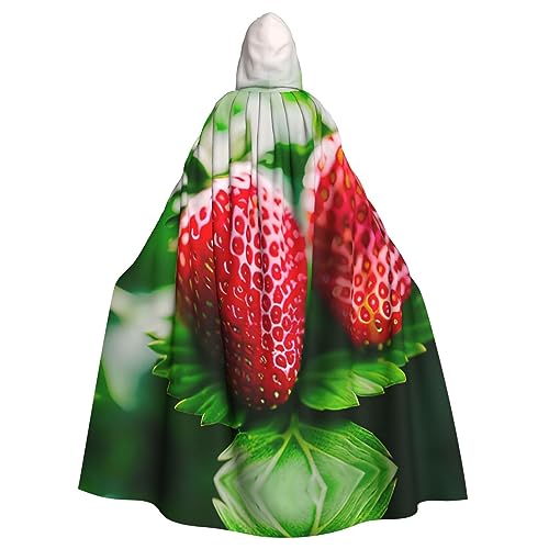 AKDODK Roter Erdbeer-Aufdruck, Kapuzenmantel, Umhang, Halloween, Cosplay, Kostüme für Erwachsene, Herren, Damen, dunkler Party-Umhang AKDODK Roter Erdbeer-Aufdruck, Kapuzenmantel, Umhang, Halloween, Cosplay, Kostüme für Erwachsene, Herren, Damen, dunkler Party-Umhang von AKDODK
