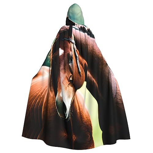 AKDODK Umhang mit zwei Pferden und Kapuze, Halloween, Cosplay, für Erwachsene, Herren, Damen, dunkler Party-Umhang AKDODK Umhang mit zwei Pferden und Kapuze, Halloween, Cosplay, für Erwachsene, Herren, Damen, dunkler Party-Umhang von AKDODK
