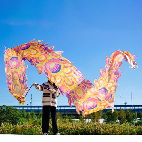 ALANIZ Drachen-Poi, 3D-Tanzdrachenband, Pfauenmuster, seidenähnlicher Drachen-Streamer-Poi for Jongliergymnastik, Senioren-Fitness, Bunte Drachen-Schleuderbänder(Orange,8 m (26 ft)) von ALANIZ