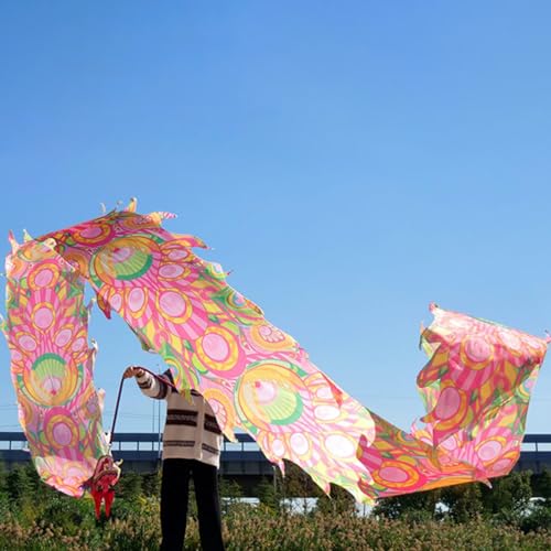 ALANIZ Drachen-Poi, 3D-Tanzdrachenband, Pfauenmuster, seidenähnlicher Drachen-Streamer-Poi for Jongliergymnastik, Senioren-Fitness, Bunte Drachen-Schleuderbänder(Red,10 m (33 ft)) von ALANIZ