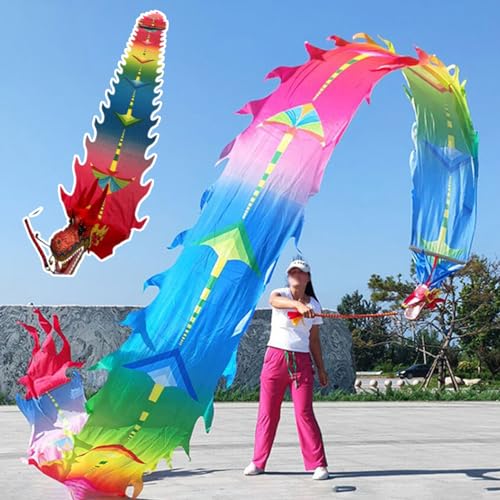 ALANIZ Drachen-Poi, waschbar, seidenartig, Drachentanz, Drachen-Drehbänder for körperliches Training mit Drachenkopf, Drachen-Dreh- und Schüttel-Poi for Übungen(Colorful,8 m (26 ft)) von ALANIZ