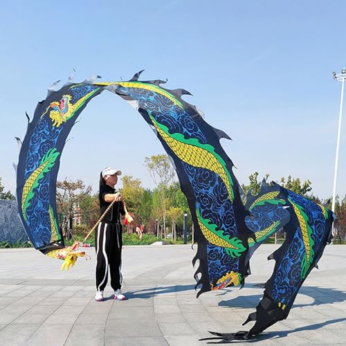 ALANIZ Dragon Poi, Outdoor-Übungstanz-Dragon Poi, seidenähnlicher Drachenband-Streamer mit Drachenkopf und Reisetasche, Drachen-Schleuderband for Fitness/Jonglieren(Black,8 m (26 ft)) von ALANIZ
