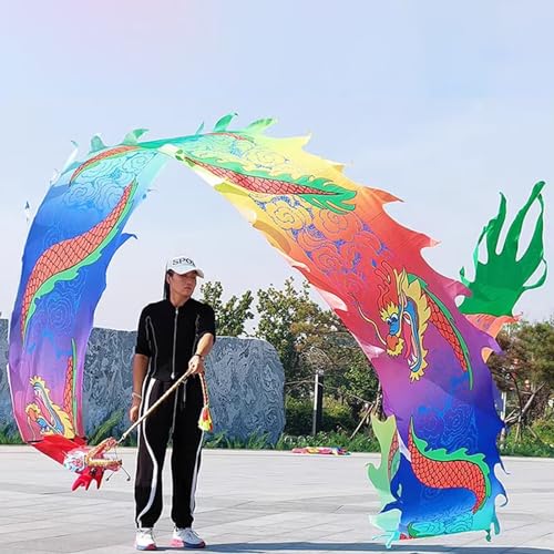 ALANIZ Dragon Poi, Outdoor-Übungstanz-Dragon Poi, seidenähnlicher Drachenband-Streamer mit Drachenkopf und Reisetasche, Drachen-Schleuderband for Fitness/Jonglieren(Colorful,6 m (20 ft)) von ALANIZ