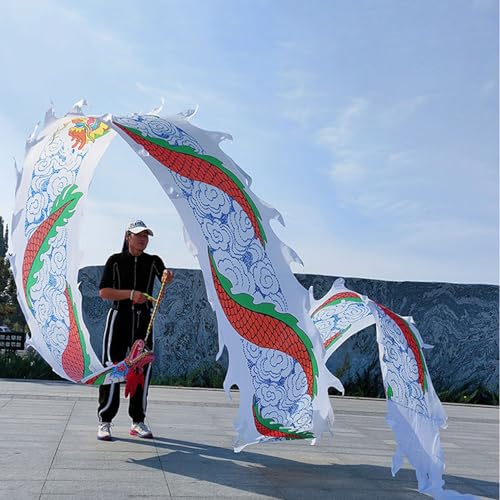 ALANIZ Dragon Poi, Outdoor-Übungstanz-Dragon Poi, seidenähnlicher Drachenband-Streamer mit Drachenkopf und Reisetasche, Drachen-Schleuderband for Fitness/Jonglieren(White,10 m (33 ft)) von ALANIZ