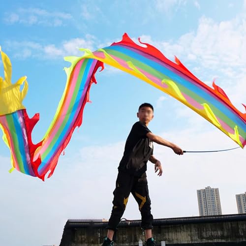 ALANIZ Dragon Poi, klein, waschbar, Dragon Ribbon Poi, Jonglier-Drachen-Streamer-Set mit Schaumstoffstange und Reisetasche, Outdoor-Sport, Erwachsene/Senioren, Kunst-Tanzflagge(Rainbow,5 m (16.4 ft)) von ALANIZ