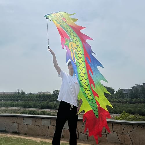 ALANIZ Dragon Poi 6,5 Fuß, 9,8 Fuß langes Tanz-Drachen-Poi-Band, kleines Fitness-Schüttel-Drachenband mit gewichtetem Ball und Drachenkörper, bunter Drachen-Streamer(2 m (6.5 ft)) von ALANIZ