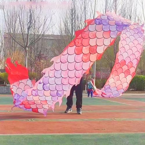 ALANIZ Dragon Poi Bunter Schuppentanz-Drachen, waschbares Drachen-Streamer-Set mit 3D-echtem Drachenkopf, Kunst-Tanzflagge for körperliches Training im Freien(Pink,12 m (39 ft)) von ALANIZ