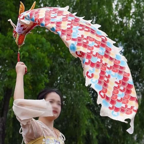 ALANIZ Dragon Poi Dance Dragon Ribbon Set for Anfänger, 6,5 Fuß / 13 Fuß langes waschbares Dragon Flinging Poi mit Reisetasche, Event Celebration Bühnenrequisite for Jonglieren(Style2,2 m (6.5 ft)) von ALANIZ
