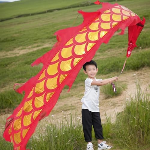 ALANIZ Dragon Poi Dance Dragon Ribbon Streamer 2 m/3 m/5 m, seidenartiges Drachenschleuderband mit Drachenkopf aus Kunststoff, Outdoor-Sport-Drachendesign-Kunsttanzflagge(Red,5 m (16.4 ft)) von ALANIZ