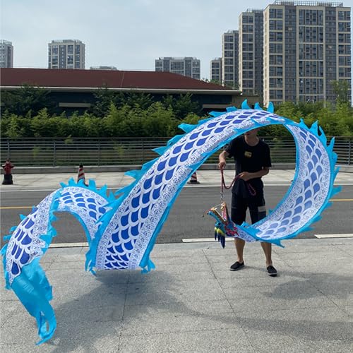 ALANIZ Dragon Poi Dragon Poi Kite Blue Scale, Outdoor Traditional Sports Dragon Dance Ribbon for Fitness, 20, 26, 33 Fuß Langer Drachenstreamer mit Drachenkopf(8 m (26 ft)) von ALANIZ