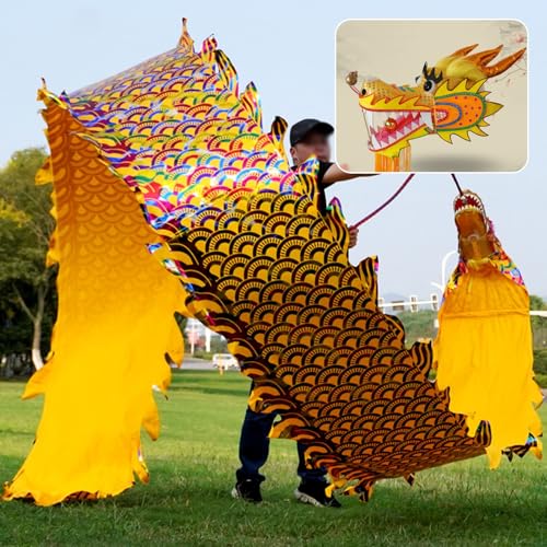 ALANIZ Dragon Poi Gold Dance Dragon Poi for Fitness, Dragon Dance Ribbon mit Drachenkopf und Schwungseil, Leichter bunter drehender und schüttelnder Drachenstreamer(8 m (26 ft)) von ALANIZ