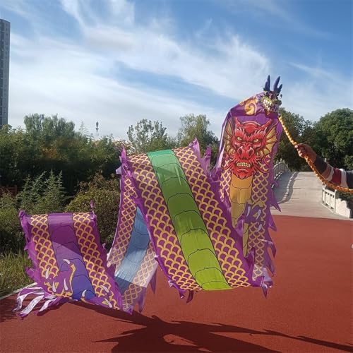 ALANIZ Dragon Poi Lila Tanzdrachen-Poi mit Drachenmuster, 26 Fuß langes Tanzdrachen-Schleuderband for Outdoor-Sportarten, Jonglieren/Bunter Drachen-Streamer von ALANIZ