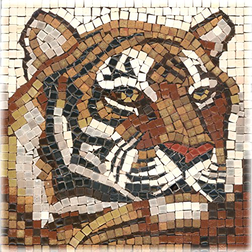 ALEA Mosaic Mosaik Bastelsets 15x15cm, Tigre ALEA Mosaic Mosaik Bastelsets 15x15cm, Tigre von ALEA Mosaic