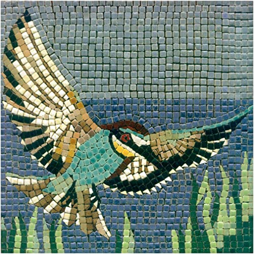 ALEA Mosaic Mosaik bastelset, DIY 20x20cm, Kolibri ALEA Mosaic Mosaik bastelset, DIY 20x20cm, Kolibri von ALEA Mosaic