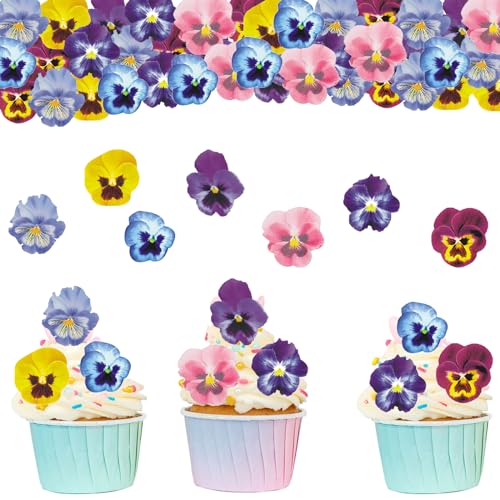 ALEGRE 60 Stück Essbare Blumen für Torte,Tortendeko Blumen Essbar Stiefmütterchen,Blumen Deko Torte,Tortendeko Essbar Blüten Muffin Deko,Blumen Cupcake Topper für Geburtstag Hochzeit Babyparty von ALEGRE